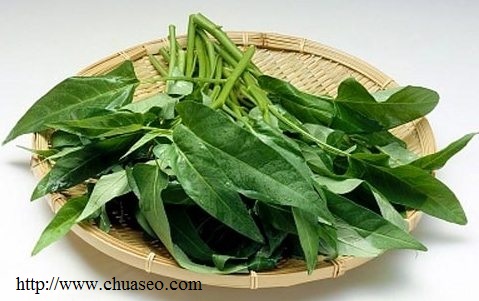 kieng-an-gi-de-tranh-seo-loi