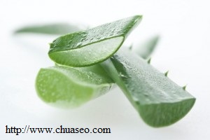 Cách trị sẹo đơn giản với lo hoi