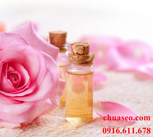 Thành phần vitamin A, C ở bên trong hoa hồng giúp ngăn ngừa lão hóa Thành phần vitamin A, C ở bên trong hoa hồng giúp ngăn ngừa lão hóa