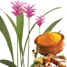 Kem trị sẹo do mụn cực chất từ chanh và nghệ tươi